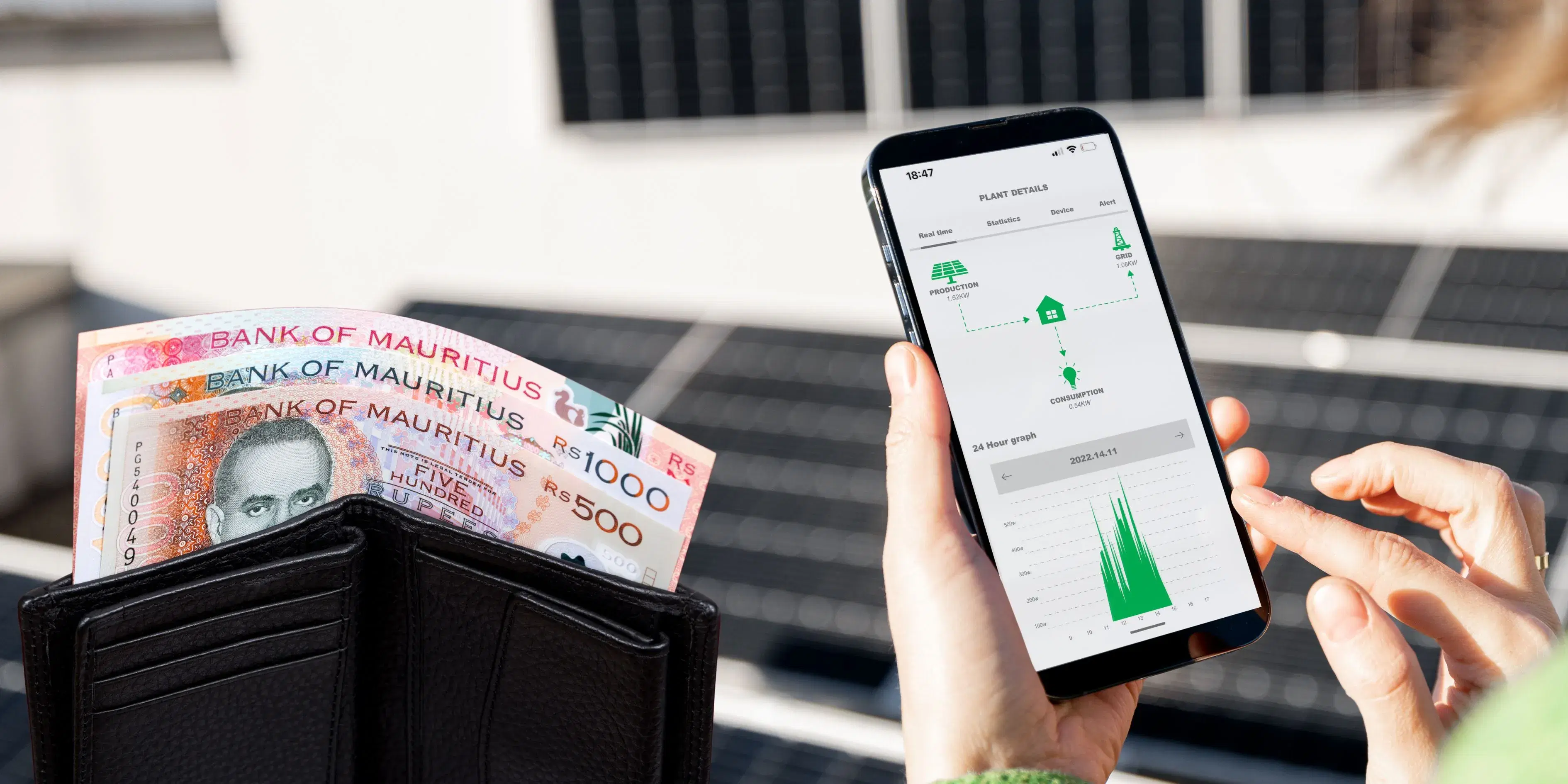 Turn Your Roof into Cash with Solar Power in Mauritius