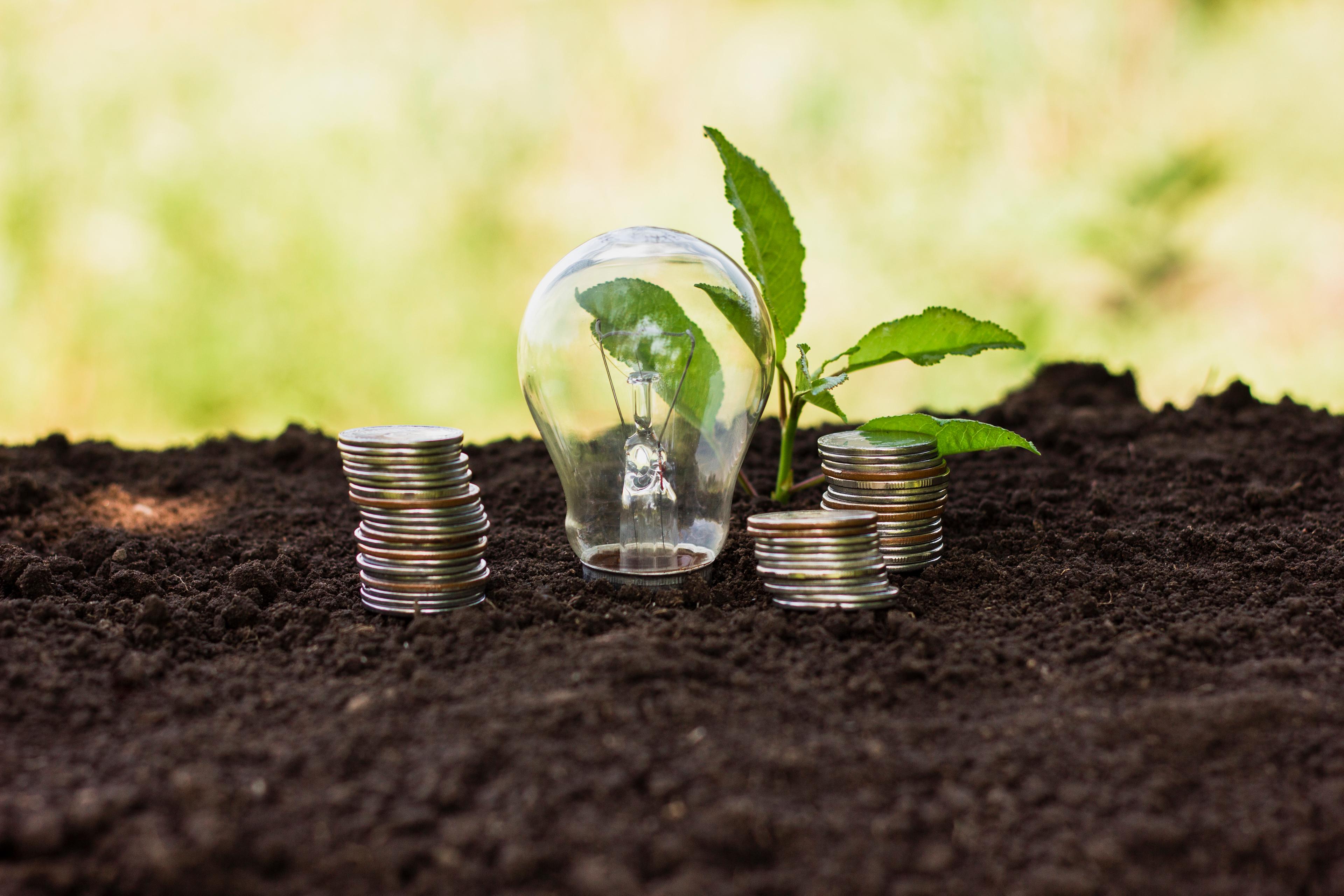 Grubbs Energy : Économie et écologie sur le même front