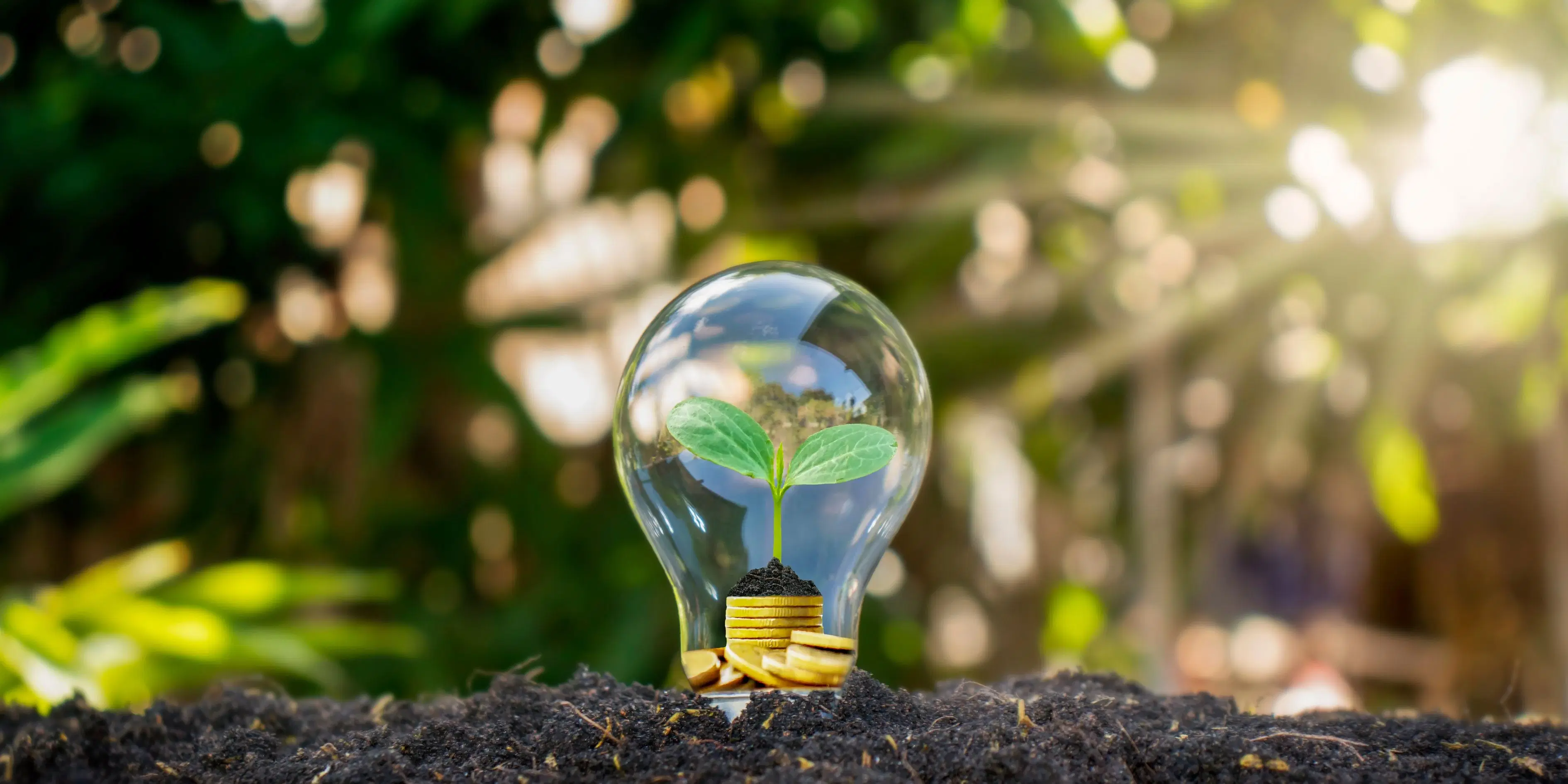 60% Renewable by 2030 in Mauritius : What It Means for Your Rooftop ?